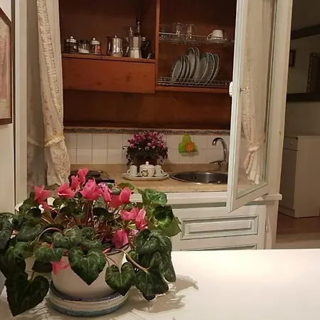 Apartment Casa Lulu *